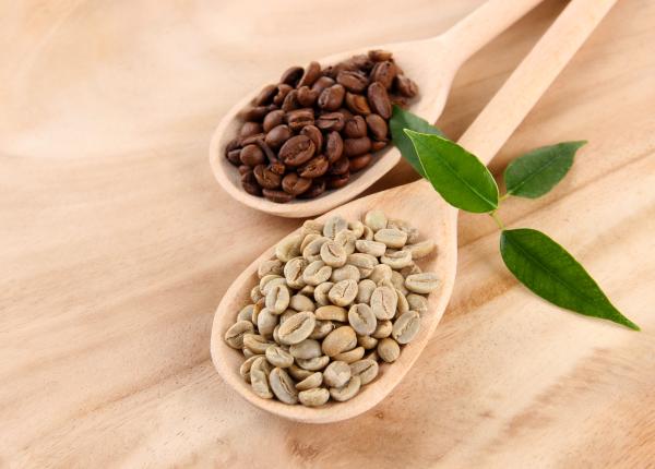 cafeaua verde bautura care topeste kilogramele nedorite cafeaua verde bautura care topeste kilogramele nedorite