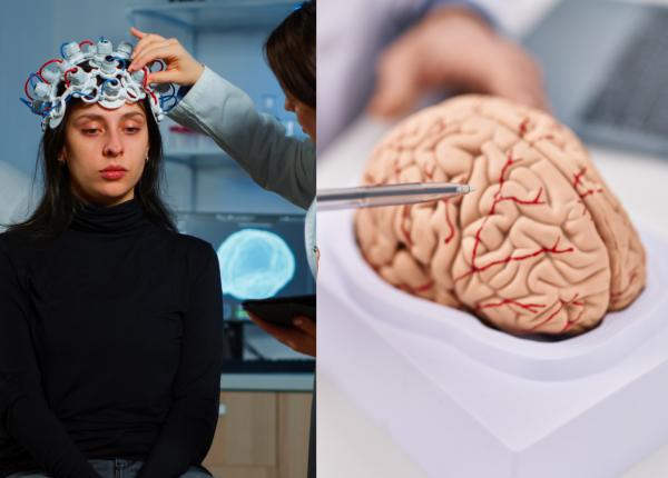 encefalita cauze simptome tratament cum sa o previi encefalita cauze simptome tratament cum sa o previi