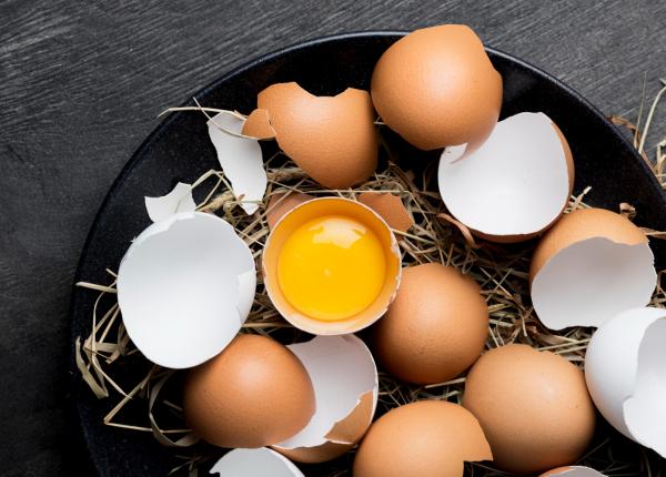 importanta oului in alimentatie