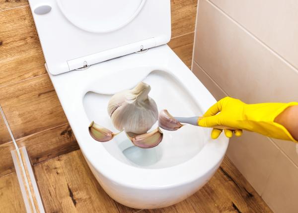 de ce sa torni ceai de usturoi in toaleta