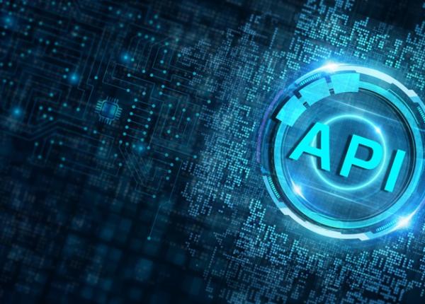 ce inseamna api si care sunt avantajele integrarii sale in procesele medicale