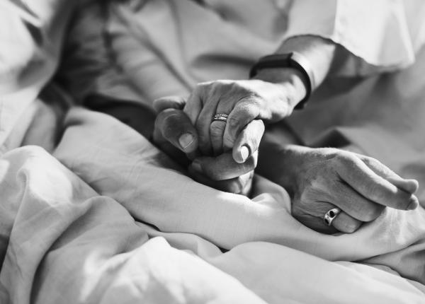 roccas 3 vorbe de aur de la hipocrate amza pellea si nichita stanescu