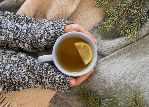 ceaiul de muguri de pin te poate ajuta in lupta cu obezitatea