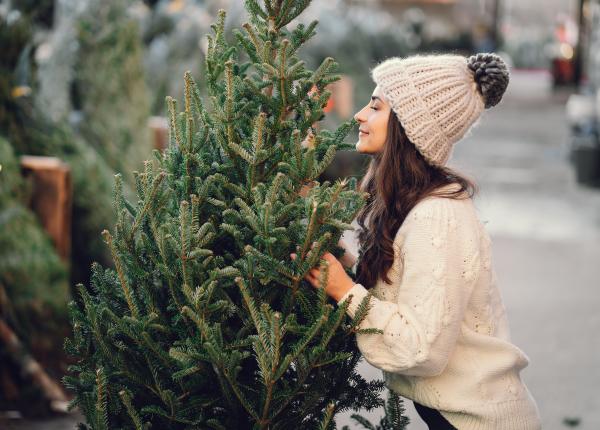 cum sa faci bradul artificial sa aiba un miros natural