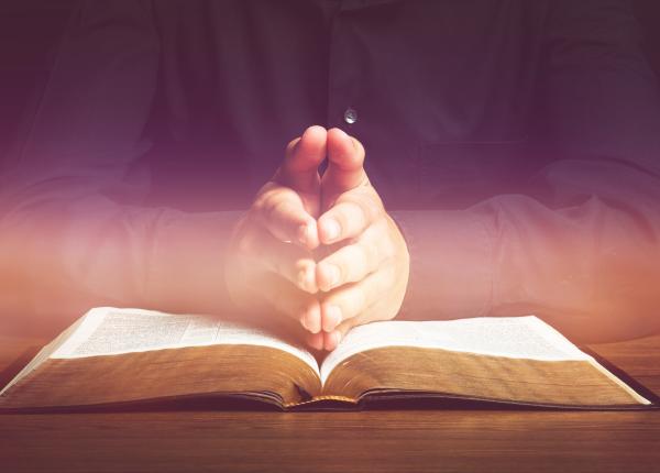 sarbatori fericite radu leca