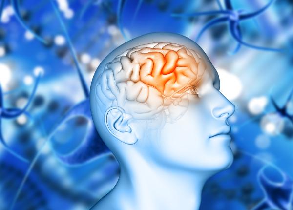 ce sunt undele cerebrale si cum le accesam