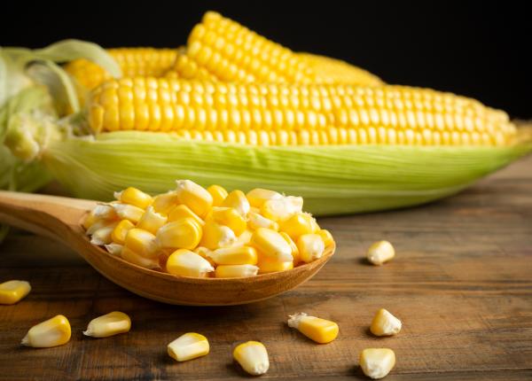 beneficiile pentru sanatate ale porumbului