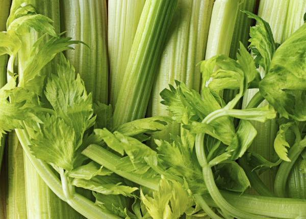 telina poate reduce inflamatiile cum imbunatateste