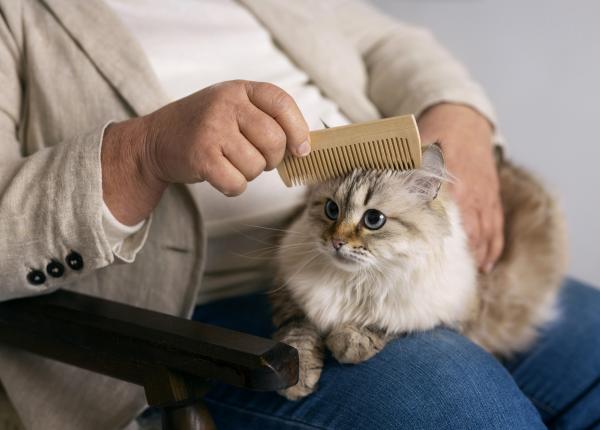 ce se intampla daca inghiti par de pisica