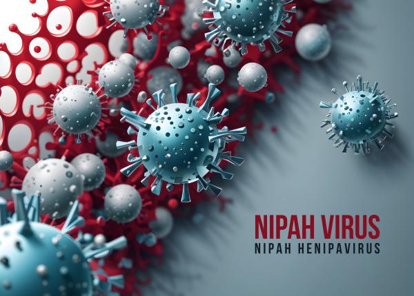 nipah virusul mortal transmis de animale fara vaccin oxford nipah virusul mortal transmis de animale fara vaccin oxford