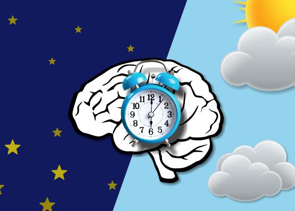 somnul butonul de resetare al creierului