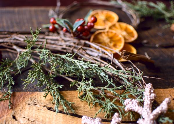 planta medicinala care curata plamanii respiratia rezultate in 12 ore