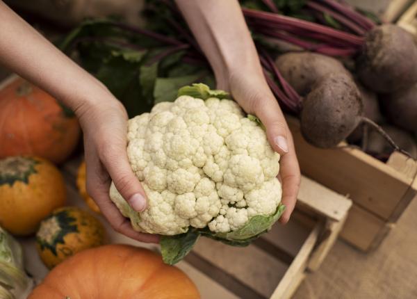 conopida leguma care poate impiedica raspandirea cancerului