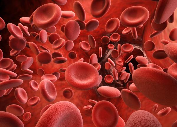 semnul ca ai anemie feripriva cea mai frecventa anemie