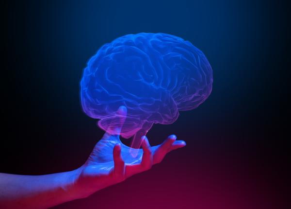 creierul devastat de alzheimer