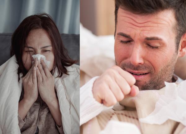 adevarul despre am racit pentru ca mi a fost frig marinescu am auzit ca oamenii spun am o gripa usoara care a trecut in 3 zile n a fost gripa