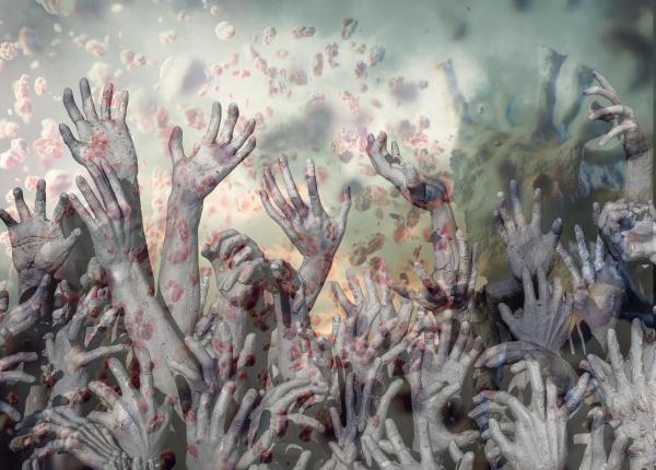 cand incepe noua pandemie boala x