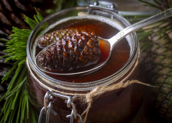 sirop de muguri de brad cu miere de albine reteta