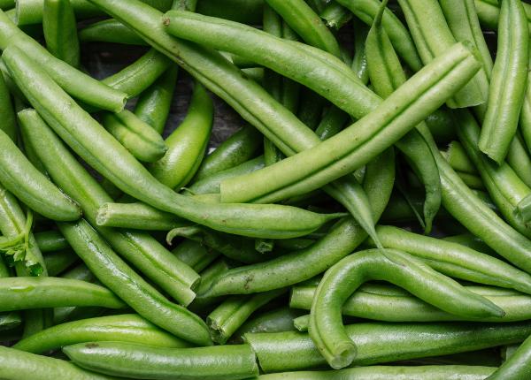 fasolea verde mareste productia de serotonina clorofila din fasolea verde poate reduce riscul de cancer