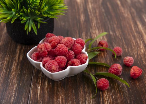 antioxidantii din zmeura ajuta creierul si imbunatatesc memoria