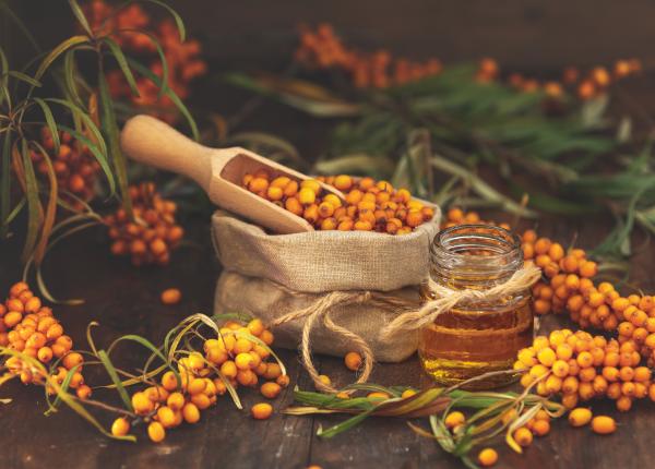 fructul sfant din himalaya protejeaza inima si ficatul 7 beneficii ale uleiului de catina de mare