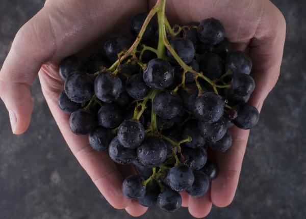 8 beneficii ale strugurilor negri