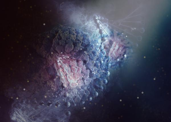 bolile rare impact devastator viorel jinga