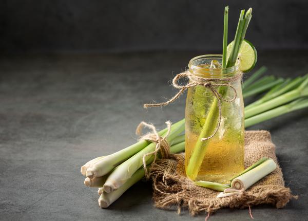 lemongrass pe stomacul gol beneficii uimitoare