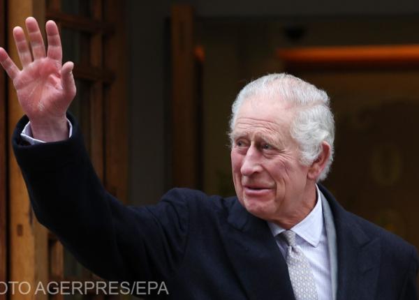 regele charles mihai dobra