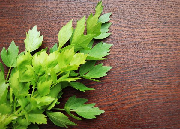 ceai de leustean otet bronsita indigestie laxativ