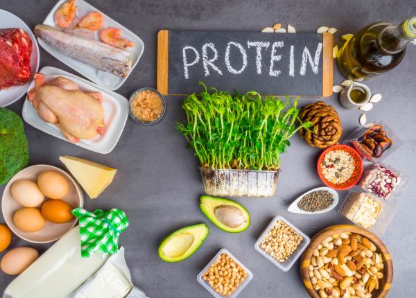 care este cantitatea ideala de proteine