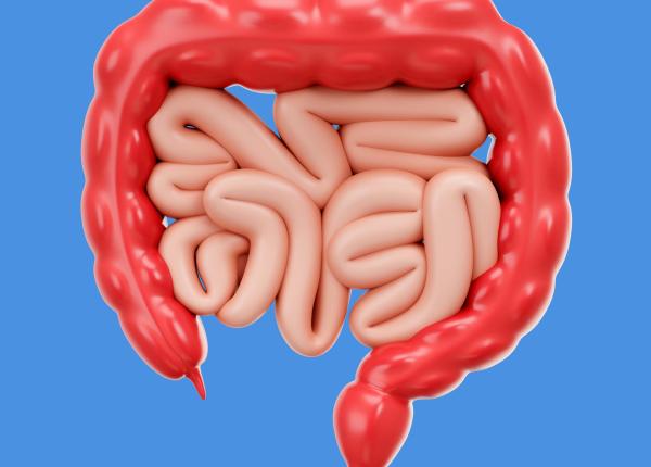 simptomele cancerului de colon ignorate