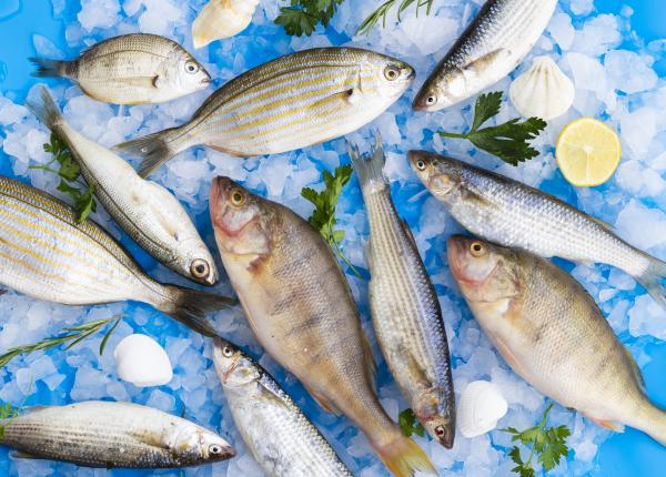 pestele care are un continut ridicat de vitamina d cristian margarit este un miracol include multi nutrienti pestele care are un continut ridicat de vitamina d cristian margarit este un miracol include multi nutrienti