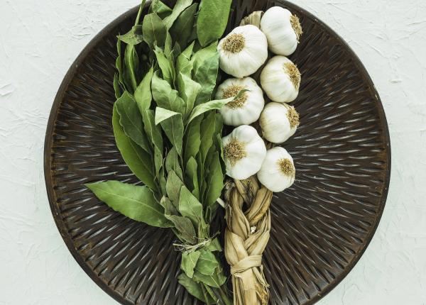 leurda leguma primaverii care sunt cele mai importante lucruri pe care trebuie sa le stii