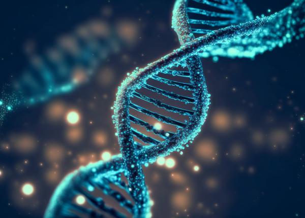 un stil de viata sanatos poate reduce seminificativ riscul de dementa