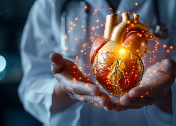 7 lucruri nocive care distrug inima 7 lucruri nocive care distrug inima