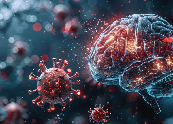 meningita formele bacteriene virale si fungice explicate