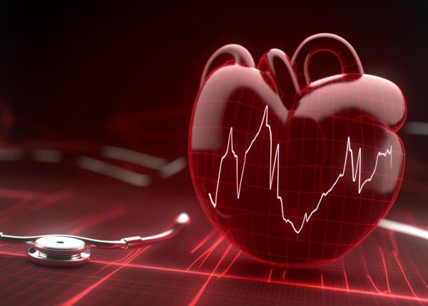 doua cauze ale mortii subite prof dr ruxandra jurcut formarea expertilor e esentiala am dat o bursa unui tanar cardiolog care a decis sa se specializeze in cardiologie sportiva in uk doua cauze ale mortii subite prof dr ruxandra jurcut formarea expertilor e esentiala am dat o bursa unui tanar cardiolog care a decis sa se specializeze in cardiologie sportiva in uk