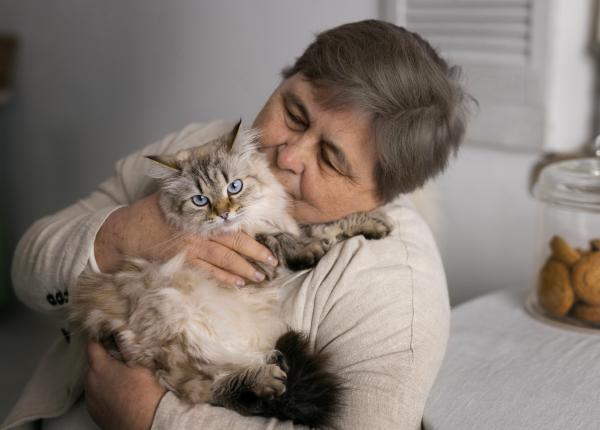 boala psihica pe care ar putea sa o declanseze pisica toxoplasmoza