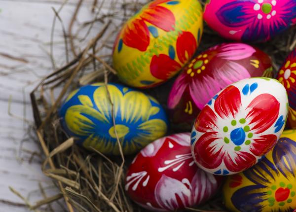 adevarul despre vopseaua de oua ce se intampla daca s a transferat pe ou medicul doru negru e simplu de inteles e ingrozitor de greu de facut