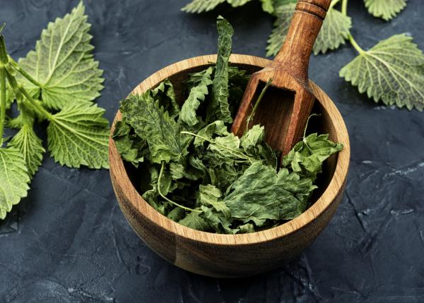 beneficiile urziciilor in lupta impotriva artritei si durerilor de spate