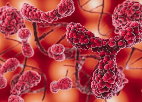 cum se raspandesc de fapt celulele canceroase