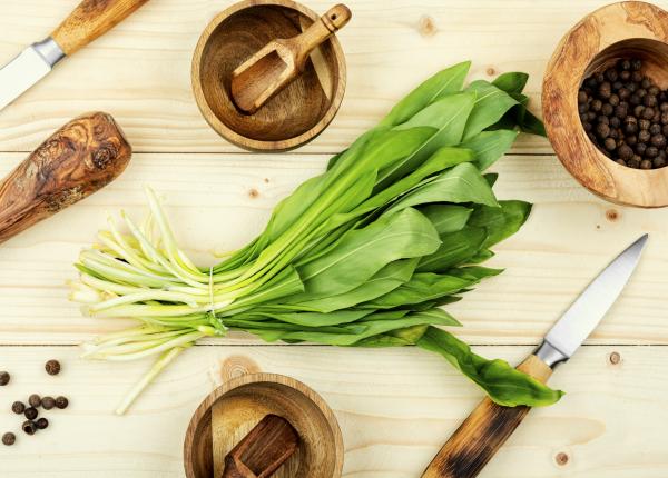 leurda planta hipertensiune lygia alexandrescu