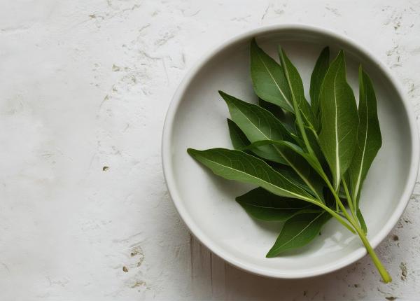 stevia un indulcitor natural cu proprietati terapeutice