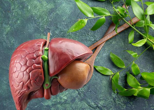 cel mai bun tratament pentru detoxifierea ficatului