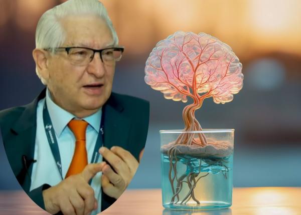 cel mai bun lucru pentru sanatatea creierului