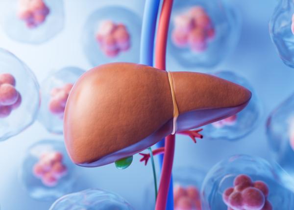 cele doua tipuri de hepatita care apar din cauza igienei precare