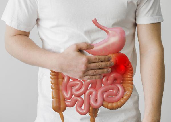 3 simptome ale unui intestin nesanatos medic gastroenterolog daca scaunul tau nu arata asa e un semn