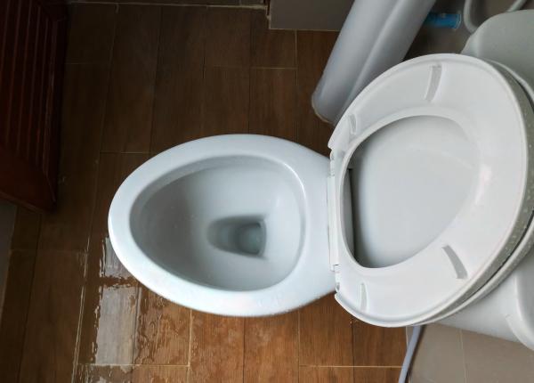 motivul pentru care ar trebui sa inchizi mereu capacul toaletei avertismentul video al unui medic un vulcan furios de bacterii