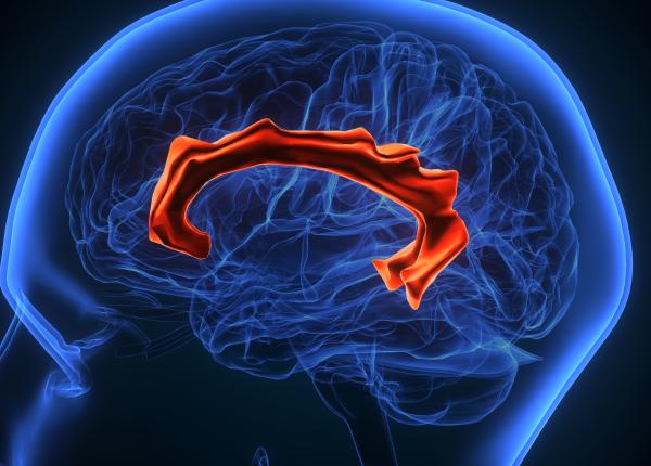 cauza principala a avc ului